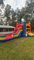 IMG 4693 1737746587.jpeg Colorful Combo