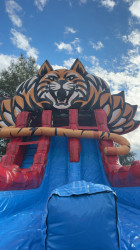 IMG 7660 1769812406 20ft Wildcat Dual Lane Waterslide