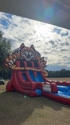 IMG 7663 1769812406 20ft Wildcat Dual Lane Waterslide