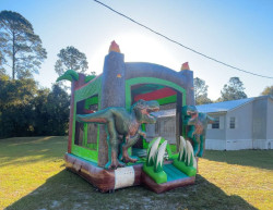 IMG 7053 1770343483 1 Dino Bounce House