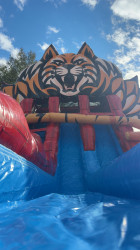 IMG 7661 1769812405 20ft Wildcat Dual Lane Waterslide