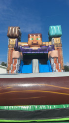 IMG 9259 1788561480 Pixelated Combo
