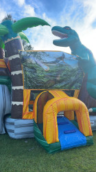 IMG 9348 1790352855 XL Dino Combo